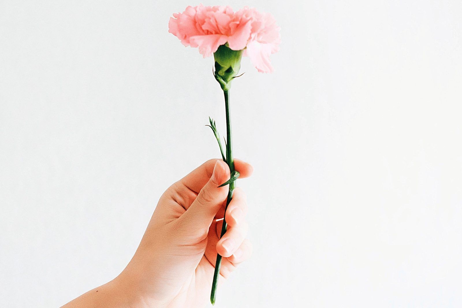 5 ESSENTIALS YOU NEED TO EMBARK ON A ZERO WASTE LIFESTYLE