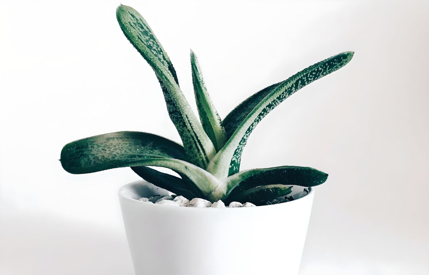 UPCYCLING AT HOME – 5 WAYS TO PRACTICE IT