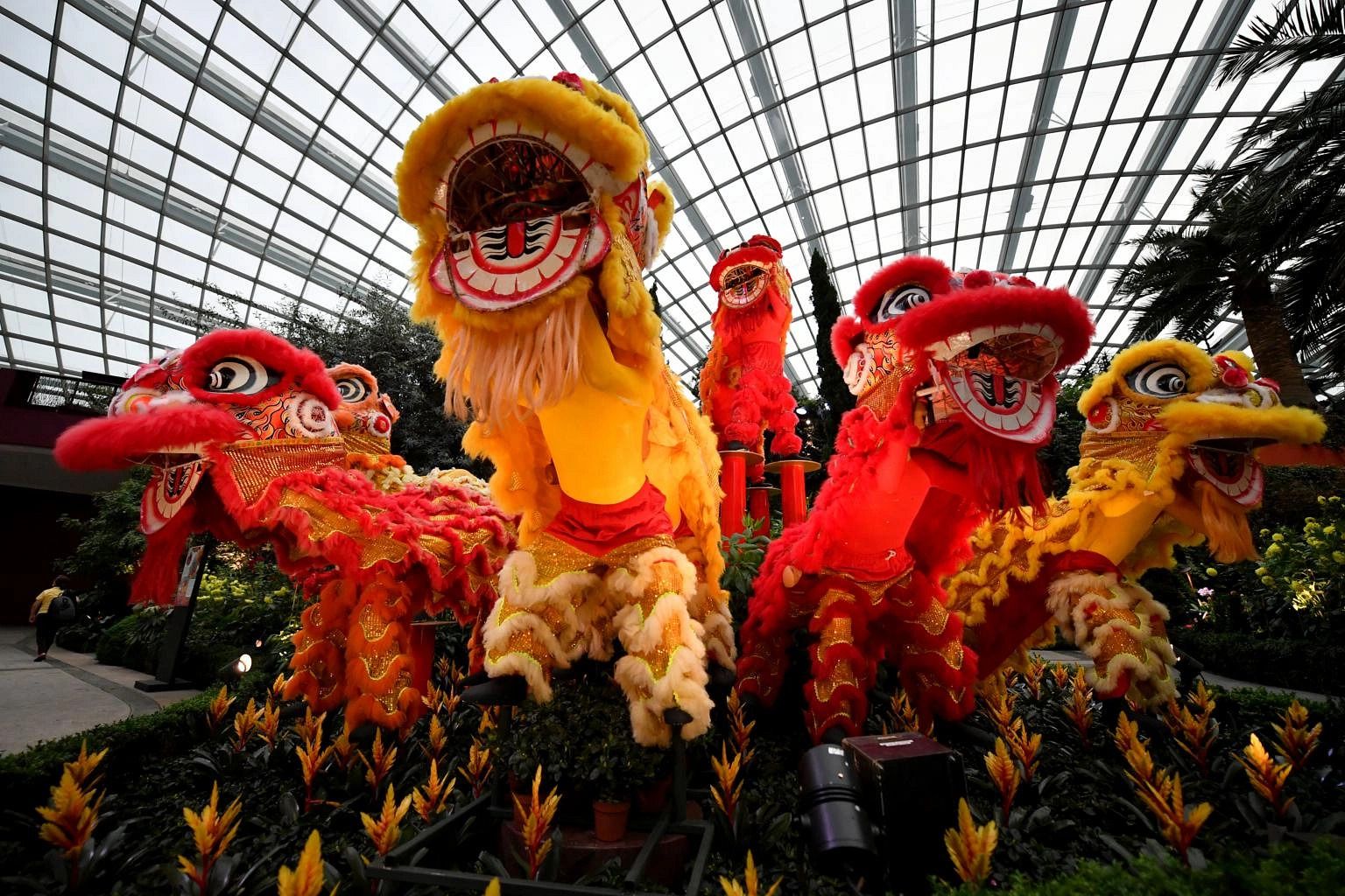Top Lunar New Year 2025 Events in Singapore You Can’t Miss