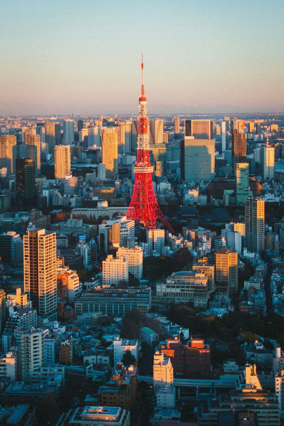 東京 contact card image