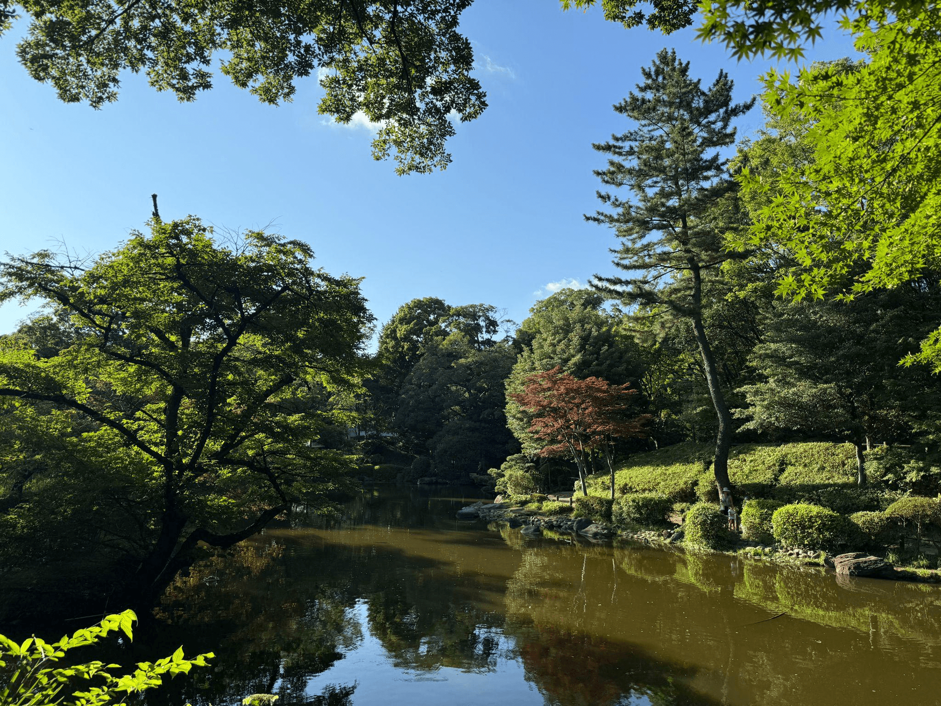 Is Minami Azabu a Good Place to Live in Tokyo?
